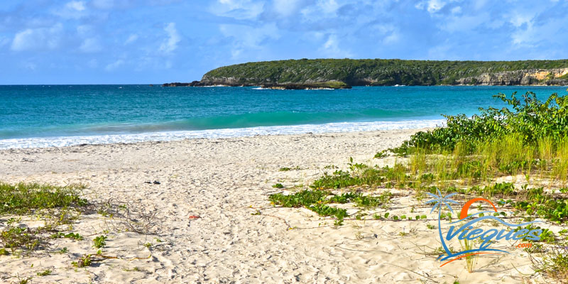 Fun Vacation Guide To Vieques Island Caribbean
