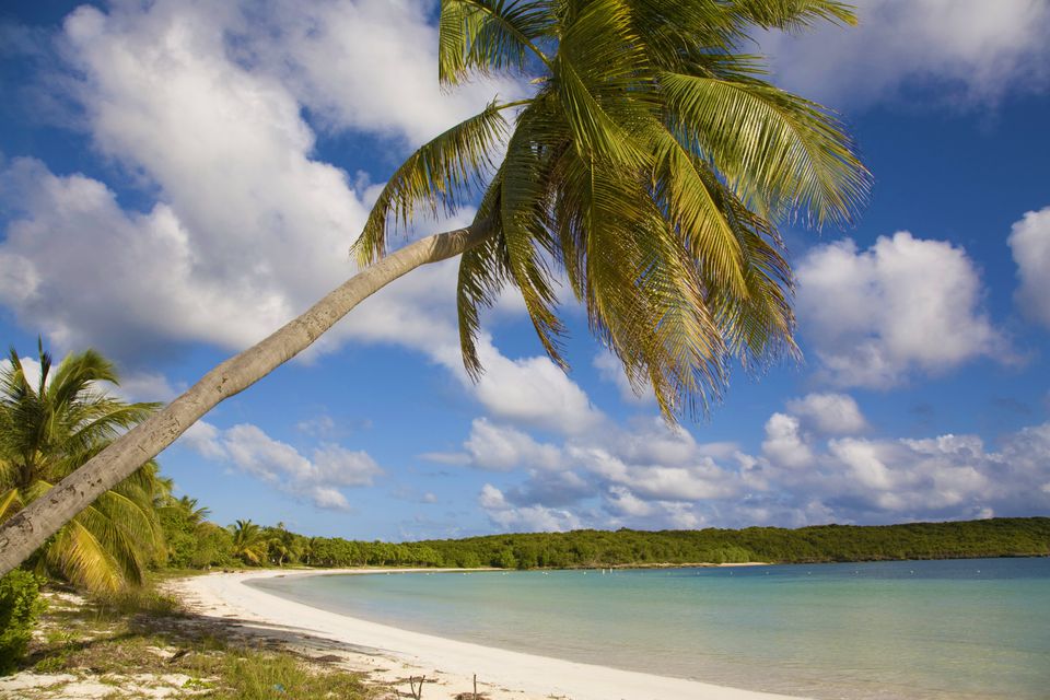 5 Rekomendasi Tempat Rekreasi Terbaik di Vieques Island Karibia
